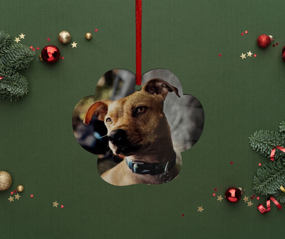 Paw Photo Ornament